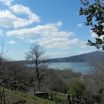 Lago di Vico - Riserva naturale