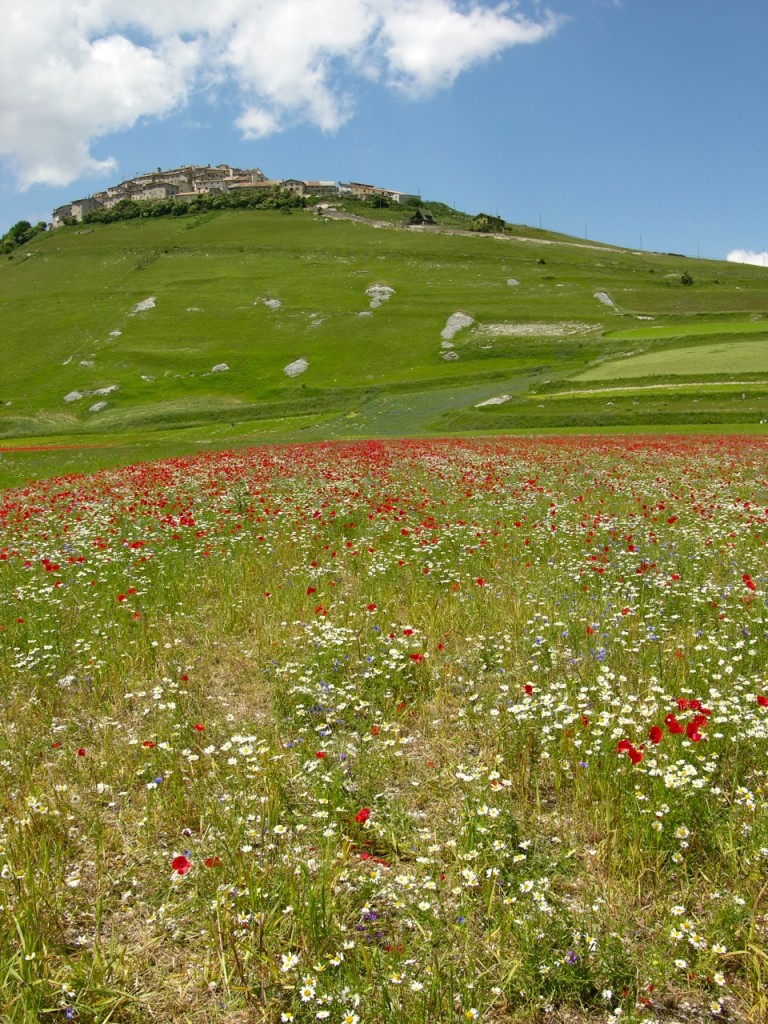 Castelluccio di Norcia